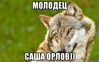 молодец саша орлов))