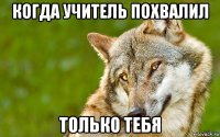 когда учитель похвалил только тебя