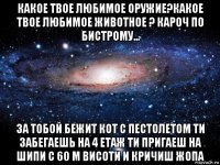 какое твое любимое оружие?какое твое любимое животное ? кароч по бистрому... за тобой бежит кот с пестолетом ти забегаешь на 4 етаж ти пригаеш на шипи с 60 м висоти и кричиш жопа