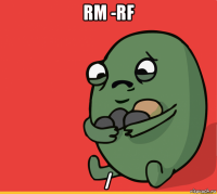 rm -rf /