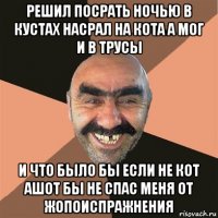 решил посрать ночью в кустах насрал на кота а мог и в трусы и что было бы если не кот ашот бы не спас меня от жопоиспражнения