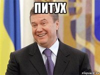 питух 