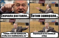 Сначала растаяло... Потом замерзло... Теперь снегом прикрыло, чтобы все поубивались на*** Охуенный естественный отбор