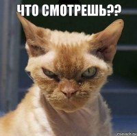 Что смотрешь?? 