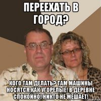 переехать в город? кого там делать? там машины носятся,как угорелые! в деревне спокойно! никто не мешает!