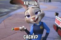 хочшь сасну?