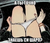 а ты точно знаешь си шарп?