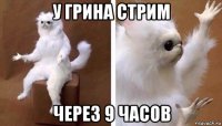 у грина стрим через 9 часов