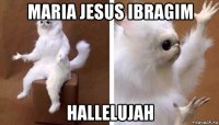 maria jesus ibragim hallelujah