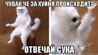 чувак,че за хуйня происходит? отвечай,сука