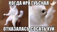 когда ира губская отказалась сосать хуй