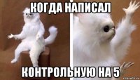 когда написал контрольную на 5