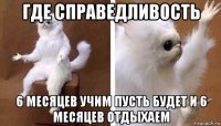 где справедливость 6 месяцев учим пусть будет и 6 месяцев отдыхаем