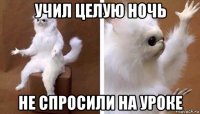 учил целую ночь не спросили на уроке