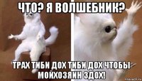 что? я волшебник? трах тиби дох тиби дох чтобы мойхозяин здох!