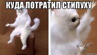 куда потратил стипуху 