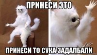 принеси это принеси то сука задалбали