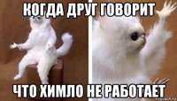 когда друг говорит что химло не работает