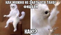 как можно не знать что такое фишбон как!?