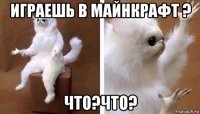 играешь в майнкрафт ? что?что?