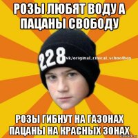 розы любят воду а пацаны свободу розы гибнут на газонах пацаны на красных зонах