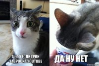 А что если грин забросит YouTube Да ну нет