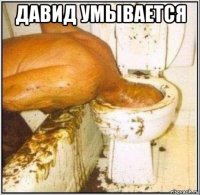 давид умывается 