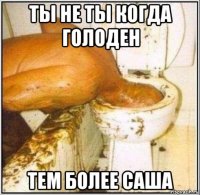 ты не ты когда голоден тем более саша