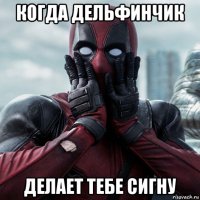 когда дельфинчик делает тебе сигну