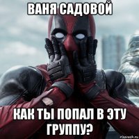 ваня садовой как ты попал в эту группу?