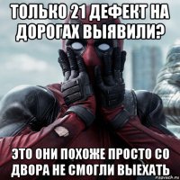 только 21 дефект на дорогах выявили? это они похоже просто со двора не смогли выехать