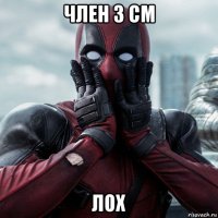 член 3 см лох