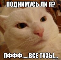 поднимусь ли я? пффф.....все тузы...