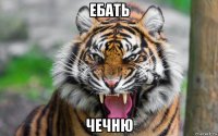 ебать чечню