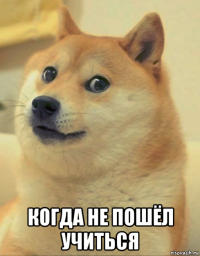  когда не пошёл учиться