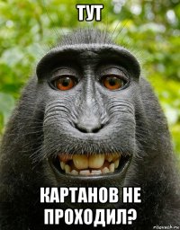 тут картанов не проходил?