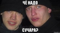 чё надо сучара?