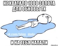 не хватало 1000 золота для обновы тх и на тебя напали