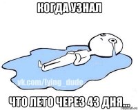 когда узнал что лето через 43 дня...