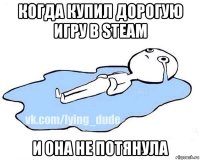 когда купил дорогую игру в steam и она не потянула