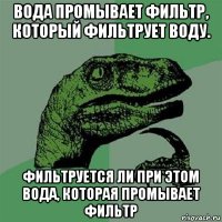 вода промывает фильтр, который фильтрует воду. фильтруется ли при этом вода, которая промывает фильтр