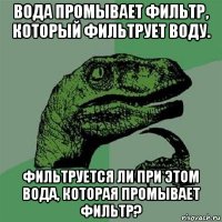 вода промывает фильтр, который фильтрует воду. фильтруется ли при этом вода, которая промывает фильтр?