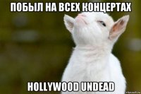 побыл на всех концертах hollywood undead