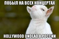 побыл на всех концертах hollywood undead в россии