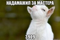 надамажил за мастера 3909