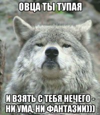 овца ты тупая и взять с тебя нечего - ни ума, ни фантазии)))