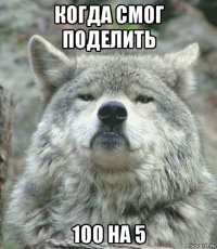 когда смог поделить 100 на 5