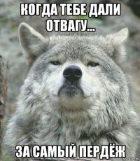 когда тебе дали отвагу... за самый пердёж