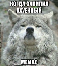 когда запилил ахуенный мемас