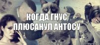 когда Гнус плюсанул Антосу